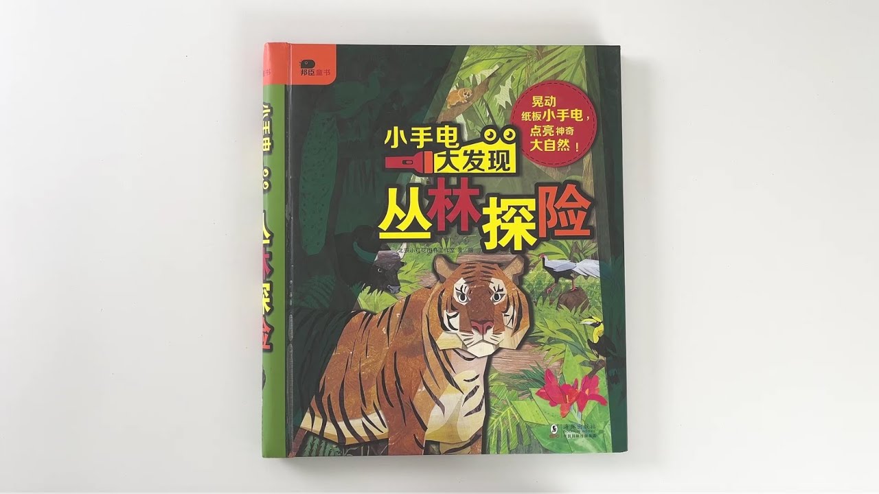 Magic Flashlight Big Discoveries: Jungle Animals