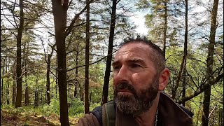 Solo Hiking - (THE WITCHES WOODLAND !!!) A Stunning Location !!! #Hiking