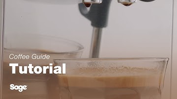 The Oracle™ Touch | See how to brew a long black coffee | Sage Appliances UK