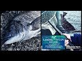 大人気！タモの決定版☆ランディングシステム！！
