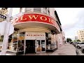 #612 There Is Still a WOOLWORTH'S In Bakersfield CA!? - Daze With Jordan The Lion (4/10/2018)