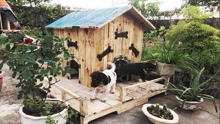 Build beautiful houses for two abandoned puppies - Build a dog house from old wooden pallets