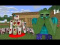 Monster School :  - minecraft animation