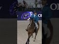King of Cannes 👑🐴🏆🇫🇷😮‍💨