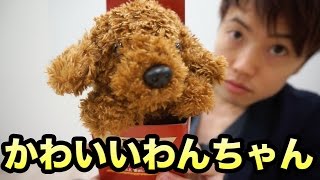 しゃべるワンちゃんが可愛すぎたけどまさかの…(;_;)