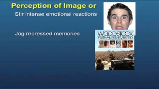 Dr. Gary Small Speaks about his book "iBrain"