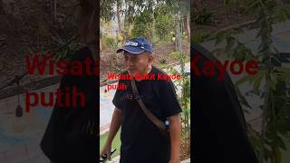 Download Lagu Anjing dan sampah H Rhoma Irama MP3