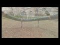 meteor 75 pro small cinema flight #tinywhoop #freestyle #analog #fpv #whoops #fpvdrone #rip #drone