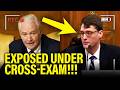 🚨Trump Nominees IMPLODE UNDER CROSS-EXAM at SENATE HEARING!!