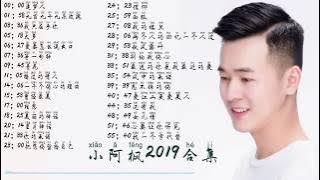 抖音最火小阿枫翻唱2019大合集1小时版