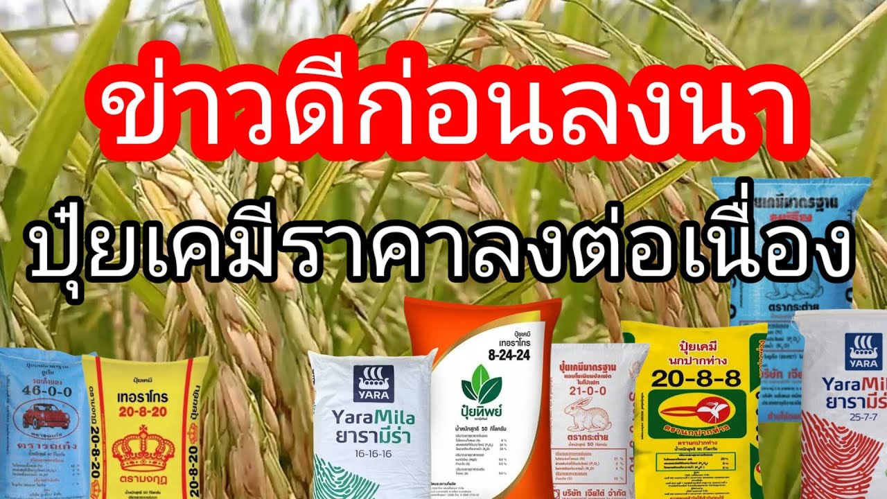 ???????????????!! ??????????????180- ?????????? ??????? 2566 ??????? ...