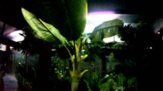 20120826 - CQB Plaza - Part1