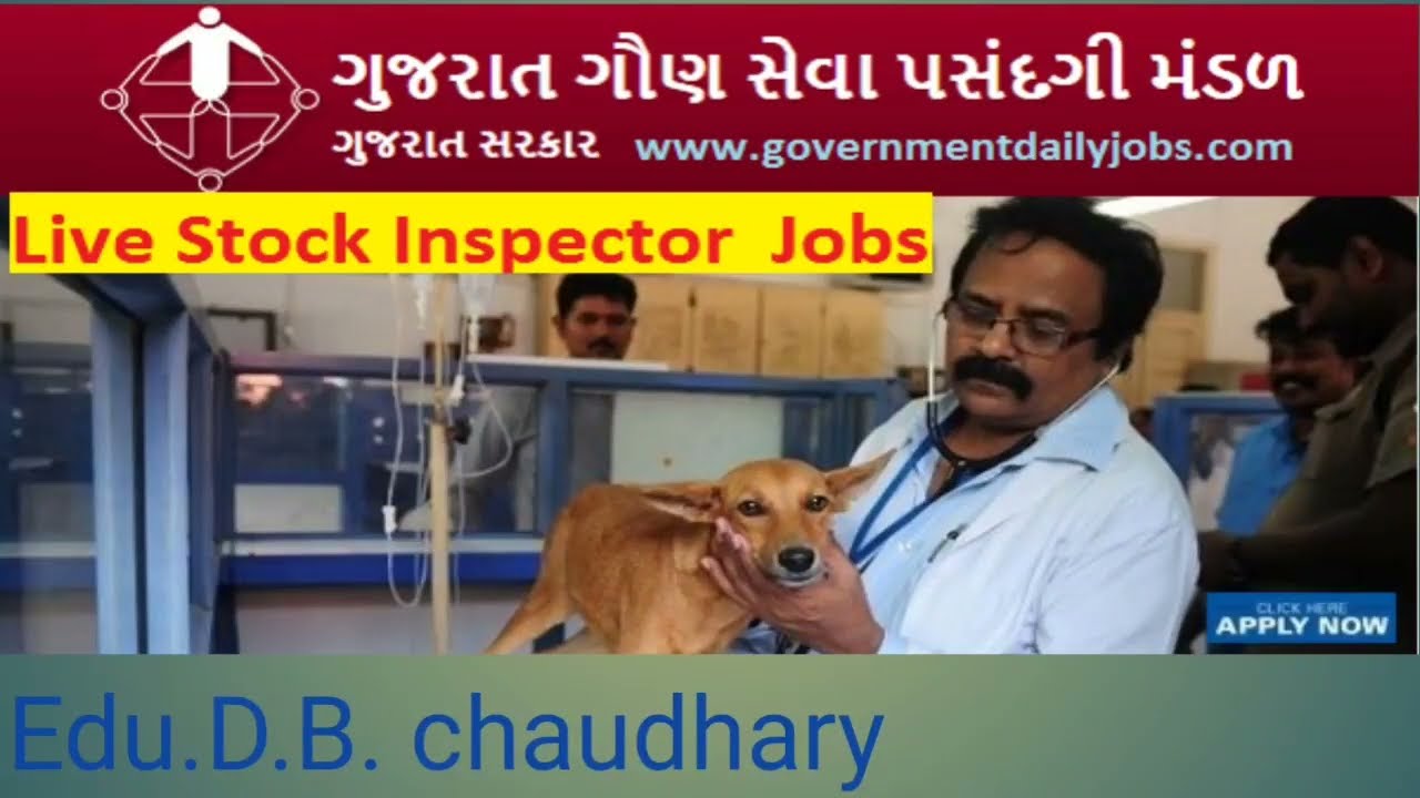 Pashudhan nirikshak bharti 2022 Pashudhan nirikshak gujarat // Live