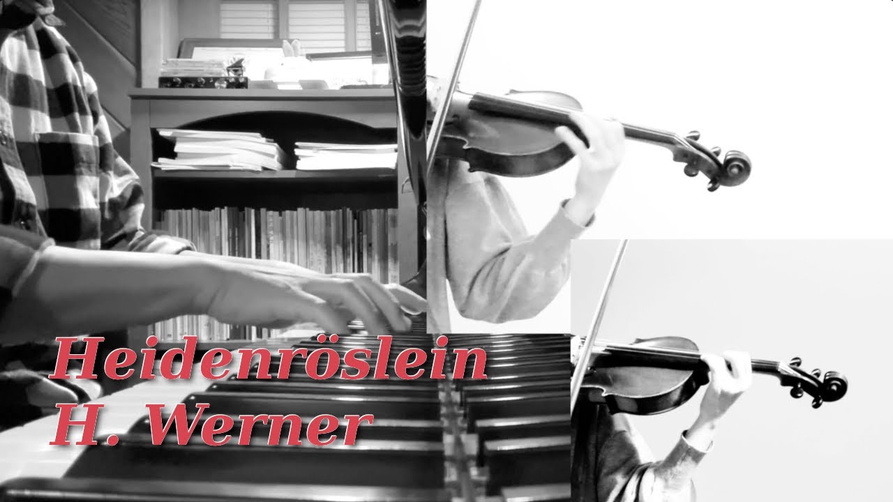 Heidenröslein (Werner) played by violin and pianod duo - YouTube