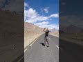 Heavy Rock Shoulder Press Workout On Ladakh Highway