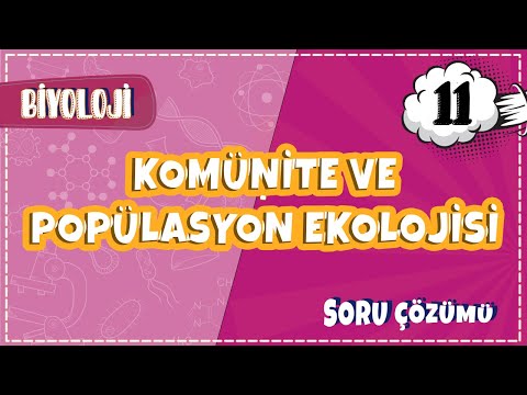 11. Sınıf Biyoloji - Komünite ve Popülasyon Ekolojisi | 2022