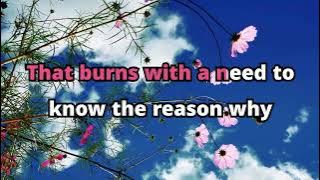 Reflection - Christina Aguilera (Karaoke Version)