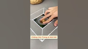 Nắp Đậy Cống Thoát Nước Sàn Nhà Tắm / Nhà Bếp. Khử Mùi Chống Mùi Hôi, Chống Côn Trùng