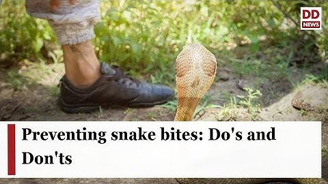 Preventing snake bites: Do