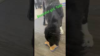 2024-04-15 Tully Moan And Her Lick Mat