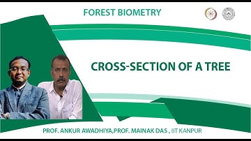Cross-section of a tree