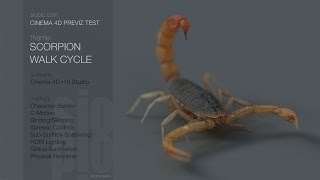 Scorpion Walk Cycle Test