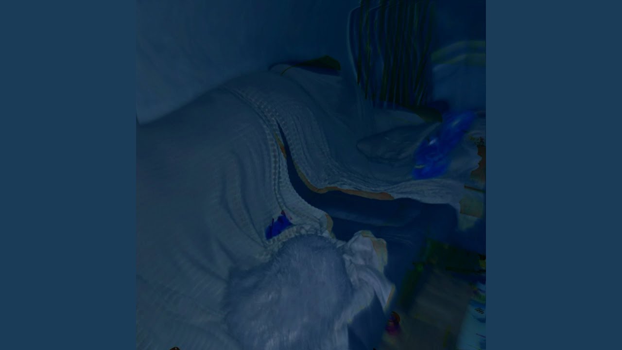 Guarda Sleep su YouTube Guarda Sleep su YouTube