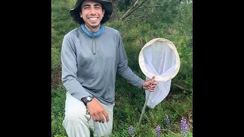 The Secret Lives of Wild Bees with Nick Dorian