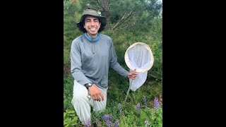 The Secret Lives of Wild Bees with Nick Dorian