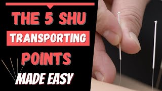 5 Shu Transporting points (Acupuncture)