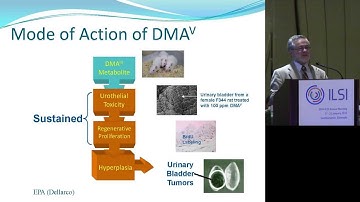 ILSI NA: Arsenic in Food: Sources and Issues in Assessment of Its Risk - Sam Cohen, MD, PhD