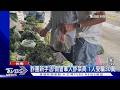 詐團新手法! 假冒軍人「專騙菜商」要求匯款墊錢　1人受騙30萬｜TVBS新聞 @TVBSNEWS01