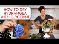 How to Dry Hydrangeas with Glycerin