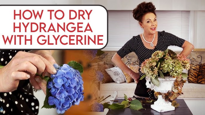 The Secret to Impeccably Dried Hydrangeas - Gardening4Joy
