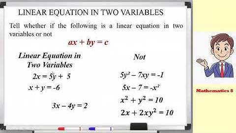 Linear Equation in Two Variables Part 1 Mathematics 8