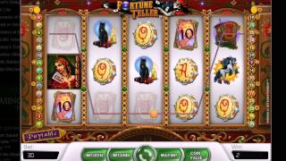 FORTUNE TELLER Slot Review screenshot 3