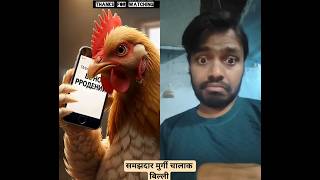 समझदार मुर्गी और चालाक बिल्ली #chicken #cute #animals #funny #smarthen