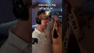 *Warning!* not for the faint of heart 🫢 #shorts #comedy #twitchstreamer #twitchclips #catsoftiktok