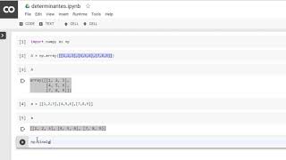 Determinante de Matriz 3x3 com Python