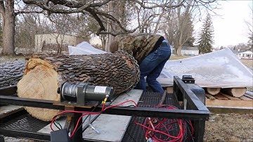 HF 2500# Winch Review/ Log Loading