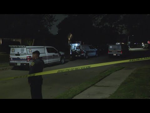Mother shot to death, 3 children beaten by man in Houston's south side ...