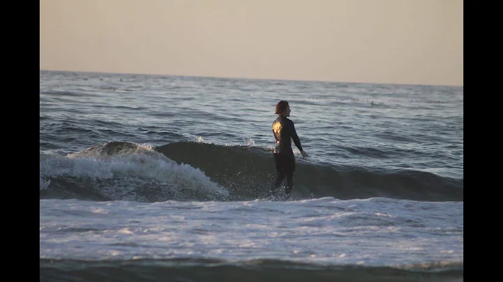 Singlefin | A Surfing Documentary