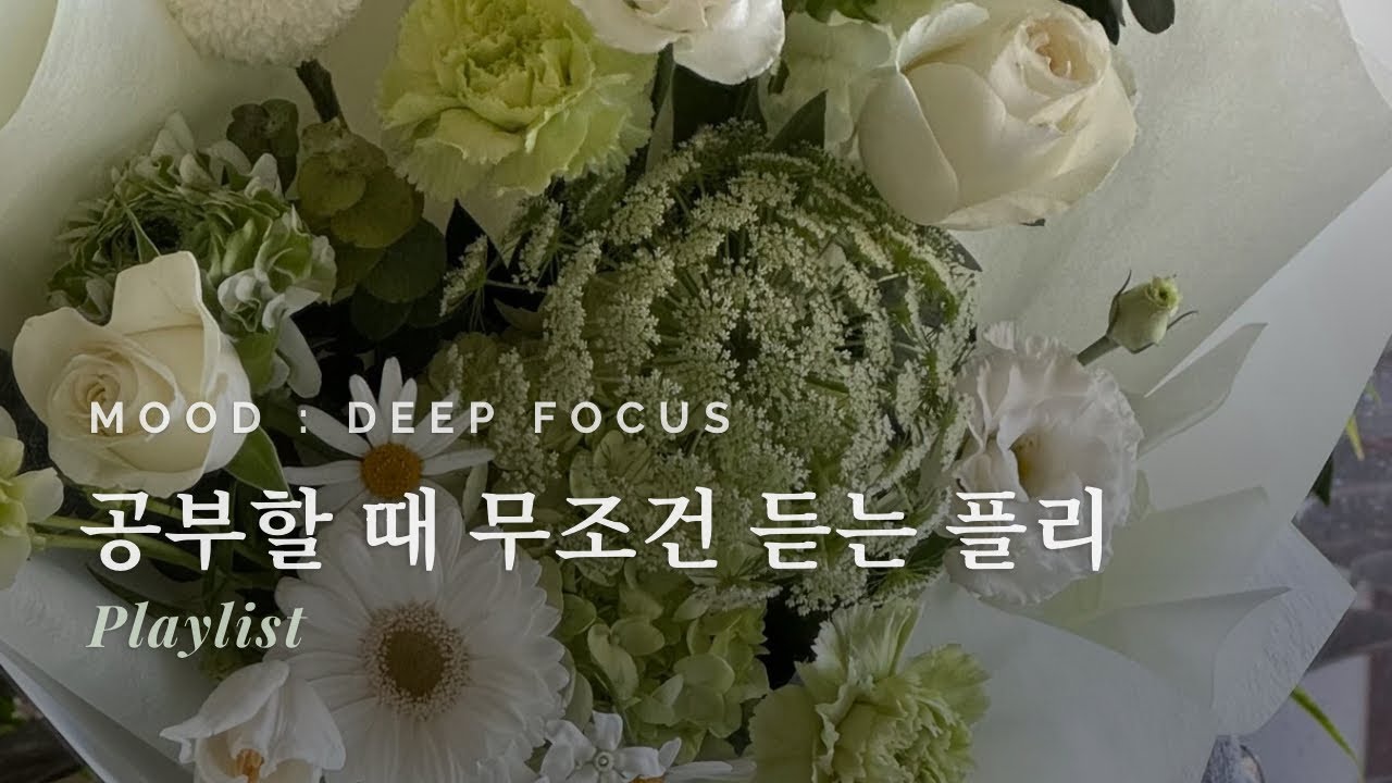 [Playlist] 집중력 200% 몰입을 위한 시간 | 공부할 때 듣는 음악, 딥워크, 카공용 음악