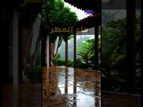 لماذا عليك جمع ماء المطر ستتفاجأ من فوائده