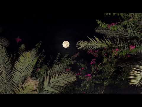 أسأل عليك ياغالي وأكل م القمر أميرة سالم