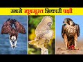 दुनिया के सबसे खूबसूरत शिकारी पक्षी | Most Beautiful Birds of Prey in the World