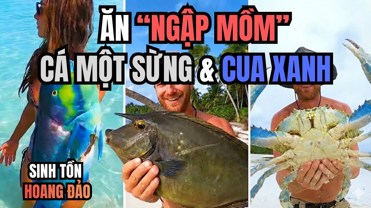 Sinh Tồn Hoang Đảo: Đại Tiệc Cua Xanh Khổng Lồ & Cá Một Sừng Ăn 