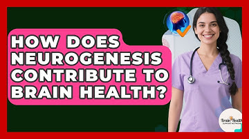 How Does Neurogenesis Contribute To Brain Health? - Brain Health Support Network