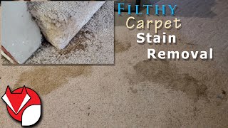 How To Remove And Clean EXTREME Old Carpet Stains  Tips and Satisfying Clips Ahead!