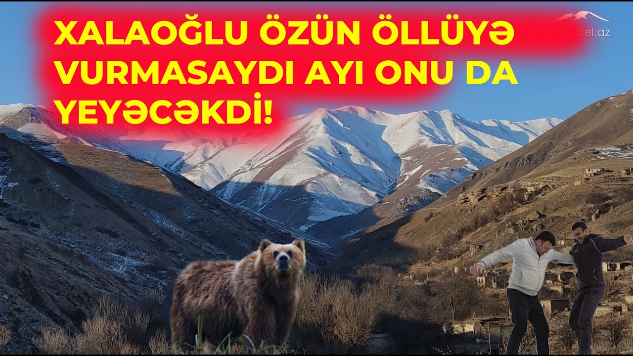 Xalaoğlunun ayı ilə gecə macərası